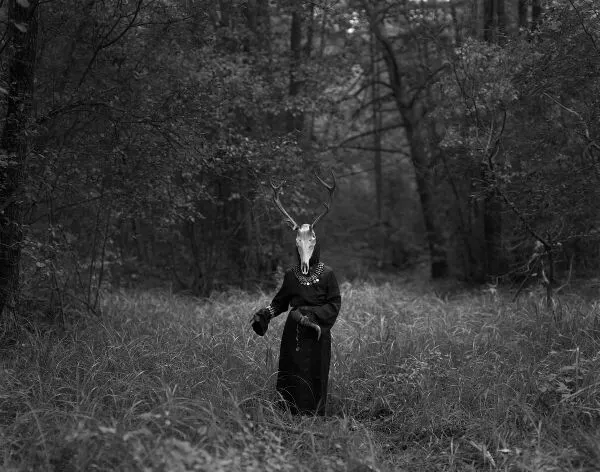 In the Thickets