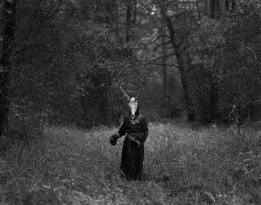 In the Thickets