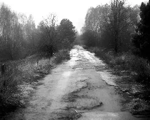 Abandoned Road