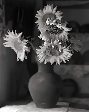 A Bouquet of Sunflowers