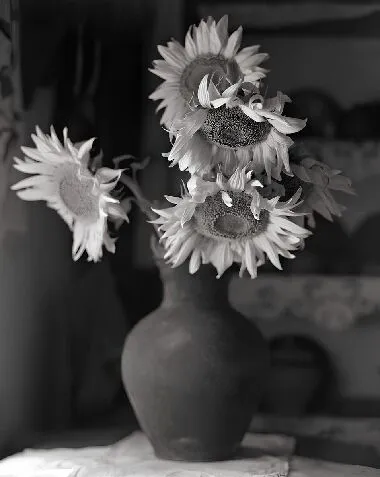A Bouquet of Sunflowers