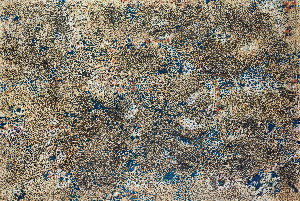 Neuroscience Universe