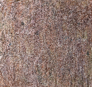 In search of the Absolute