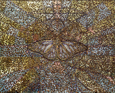 Імманент трансцедентності