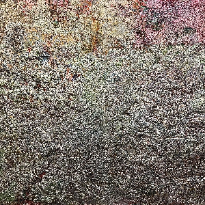 Primordial elements of shamanism 2