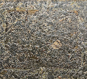 Source of endless forms 5