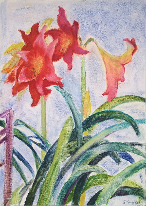 Зимові квіти з підвіконня