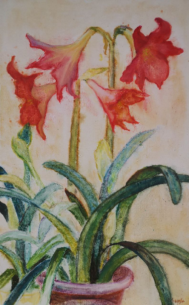 Зимные цветы с подоконника