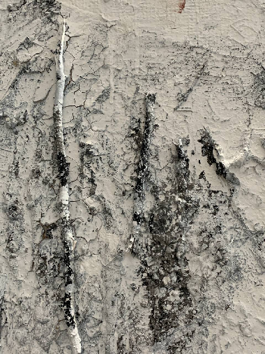 Те що завжди з тобою…