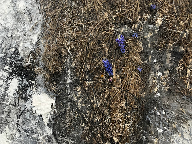 Те що завжди з тобою…