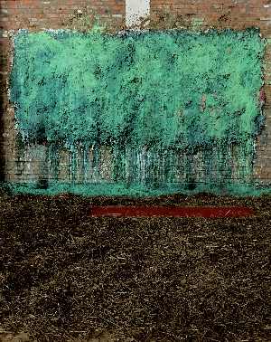 Бабчин сад (Бабкин сад)