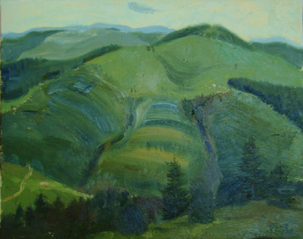 Карпатские просторы