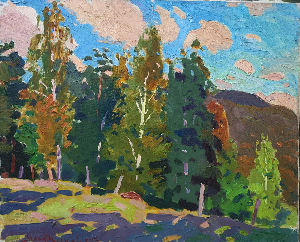 Солнечный день