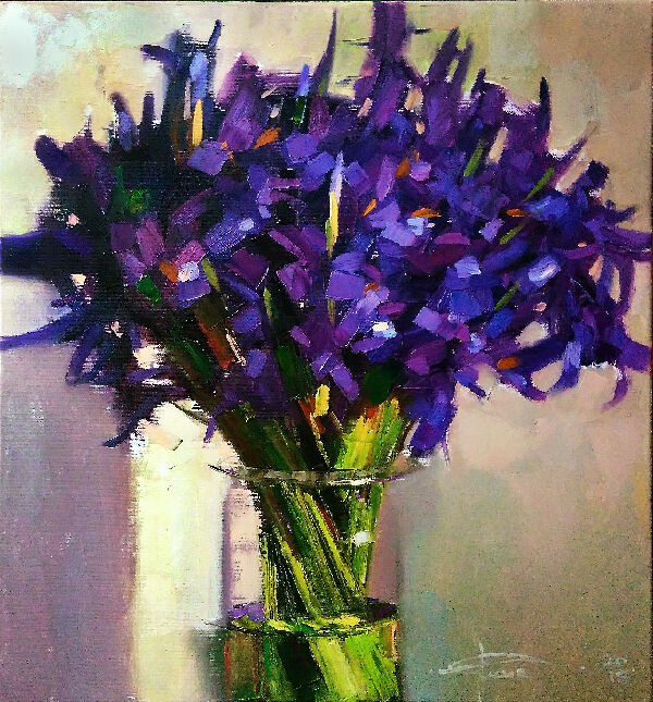 Садові іриси