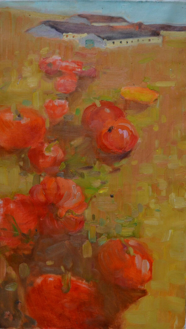 Поле гарбузів