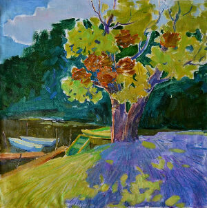 Тінь мудрості