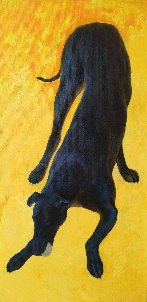 Без названия