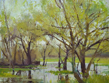 Весняна повінь