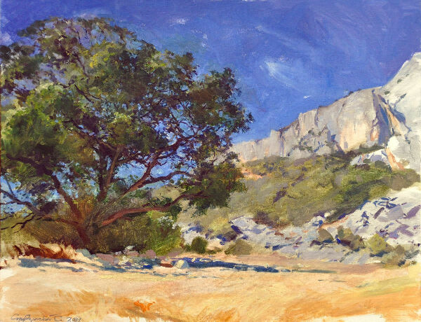 Під небесним покровом