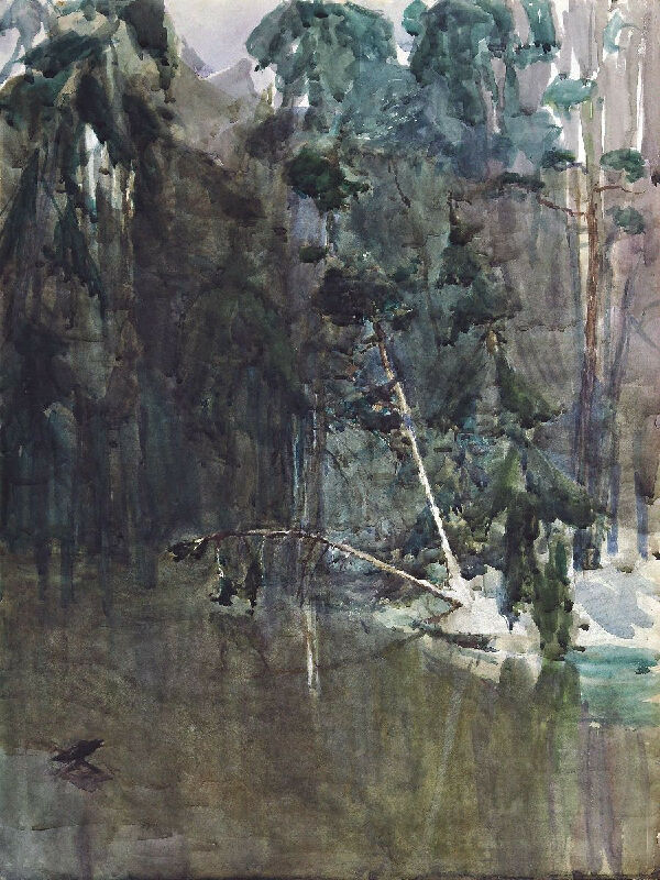 Чужа сторона