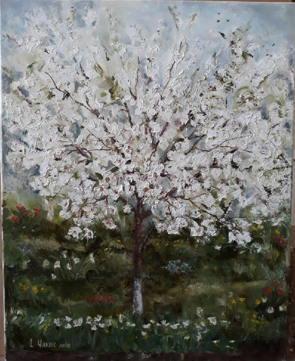 Вишня из маминого сада