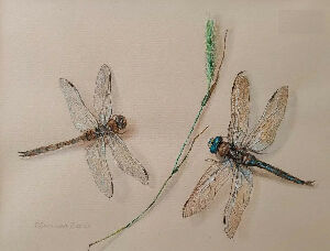 Стрекозы