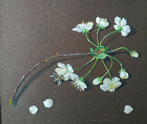 Гілка вишні