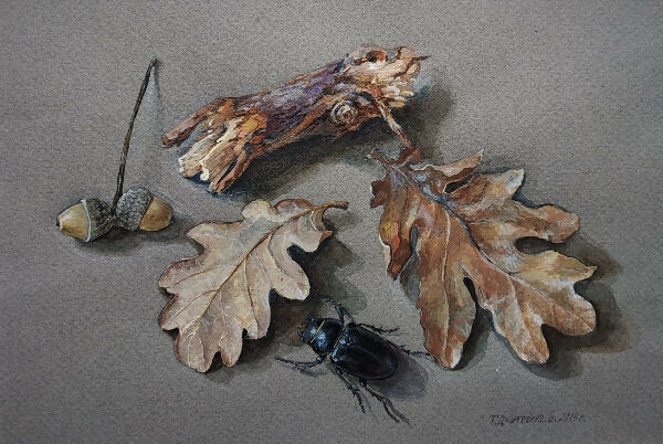 Жук та дубова гілка