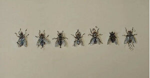 Винищувачі