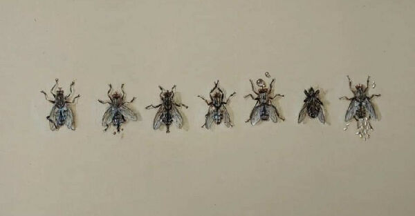 Винищувачі