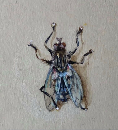 Истребители