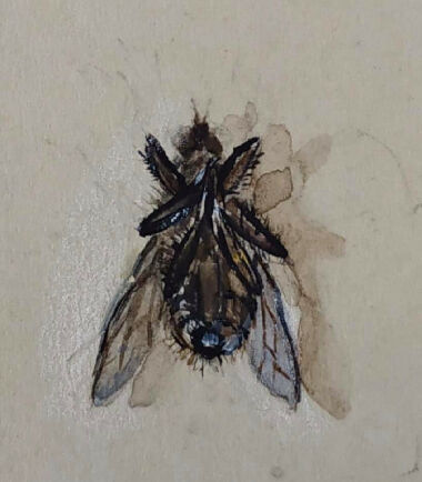 Истребители