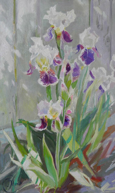 Light Irises