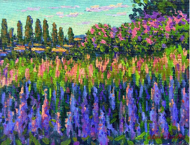 Дикі люпини