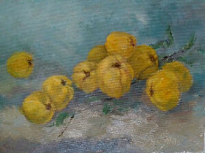 Батькова айва