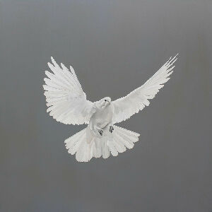 SACRIFICIUM - Белый голубь, символ мира и Духа Святого