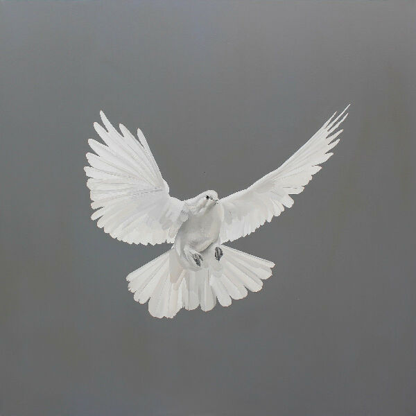 SACRIFICIUM - Белый голубь, символ мира и Духа Святого