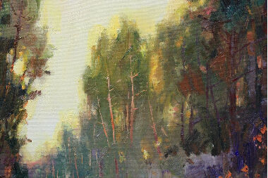 Evening in the forest