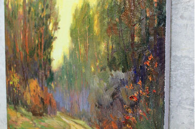 Evening in the forest