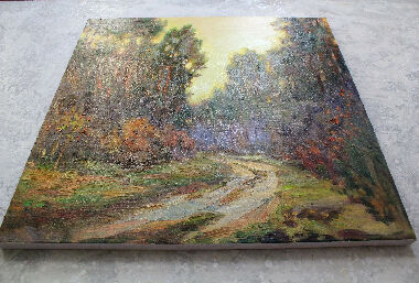 Evening in the forest