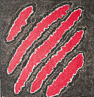 Відображення. Звір