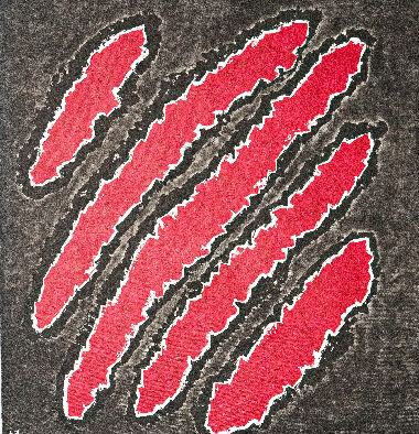 Відображення. Звір