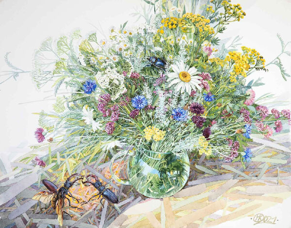 Битва жуків