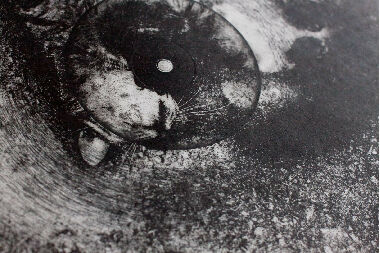 Пробудження (1/7)