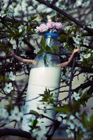 Без названия