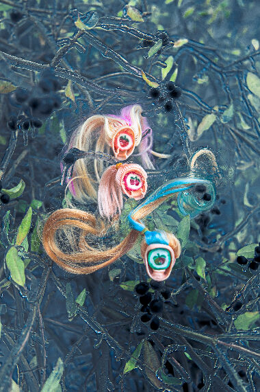 Сладкие головы