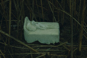 Без названия