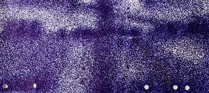 Без названия