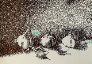 Без названия