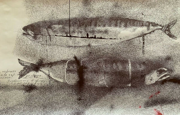 Без названия